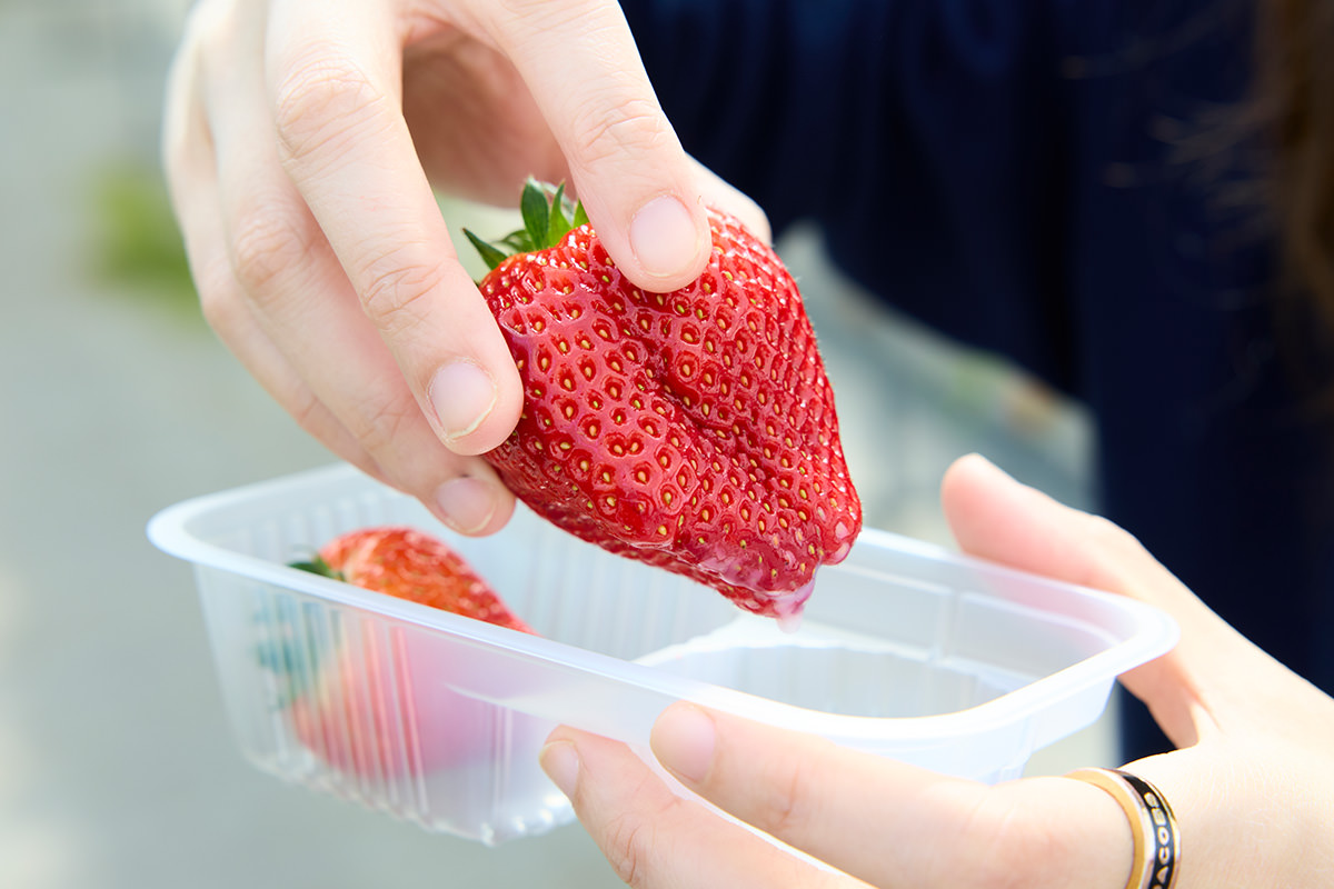 Takuminosato Strawberry House