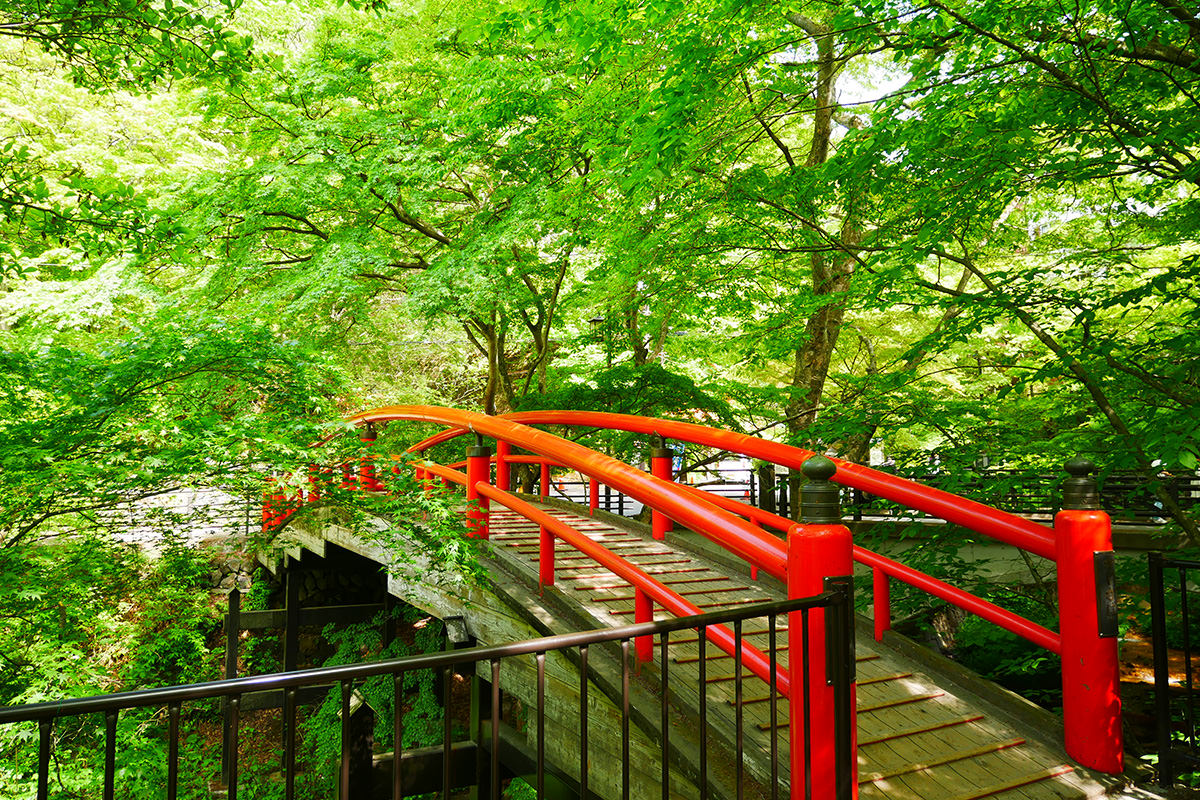 Kajika Bridge Spring Green Illumination