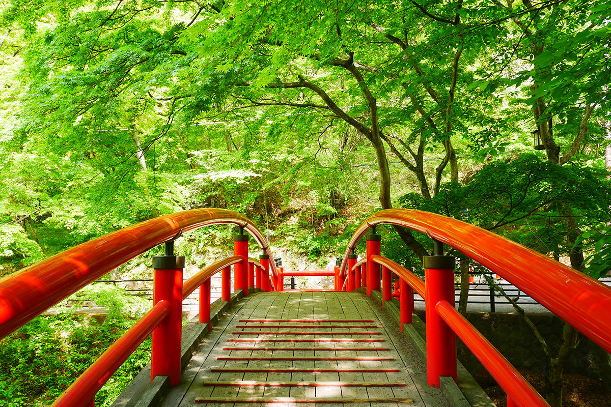 Kajika Bridge Spring Green Illumination