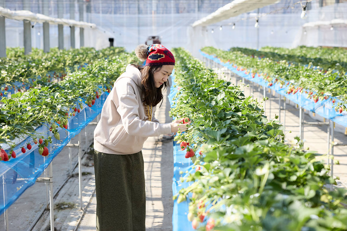 Minakami Fruits Land Mogitore