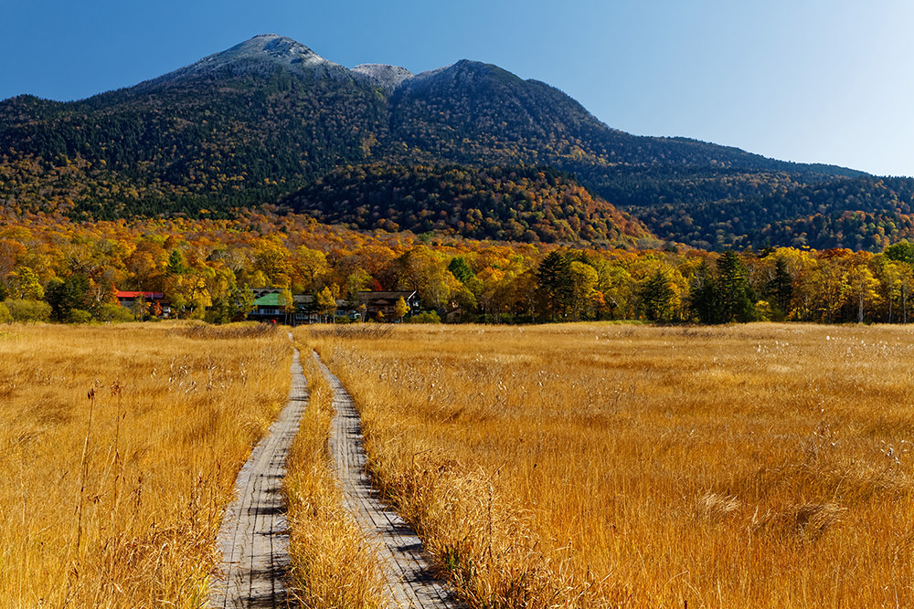 A Guide to Hiking Ozegahara, Gunma's High Altitude Marshland