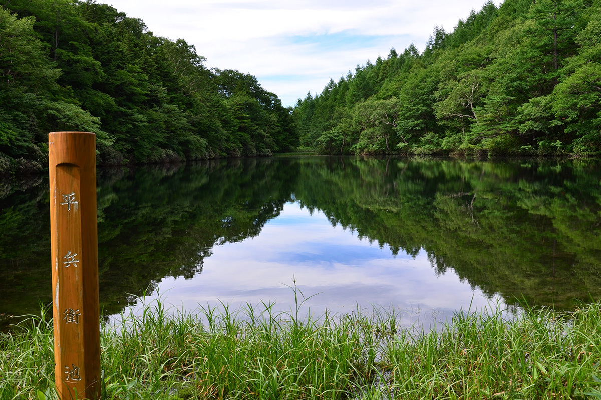 Yoshigadaira Wetlands