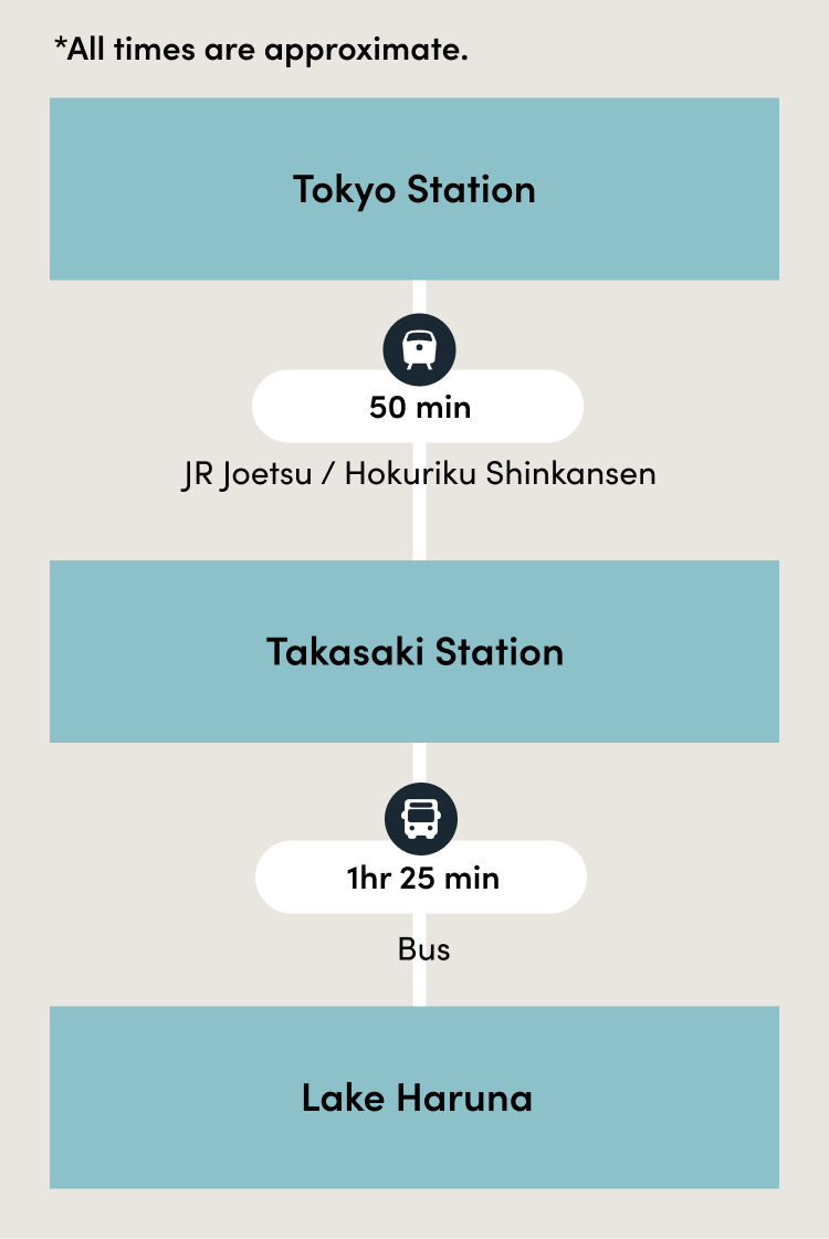 Access From Tokyo SP