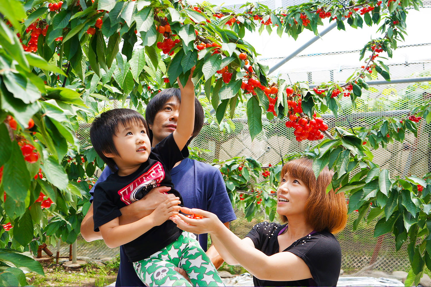 Family-Friendly Gunma