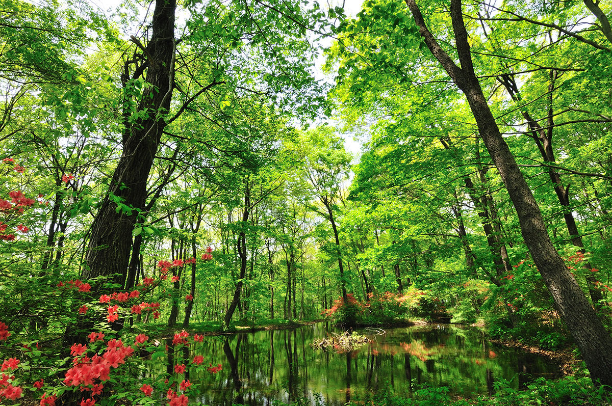 Akagi Nature Park