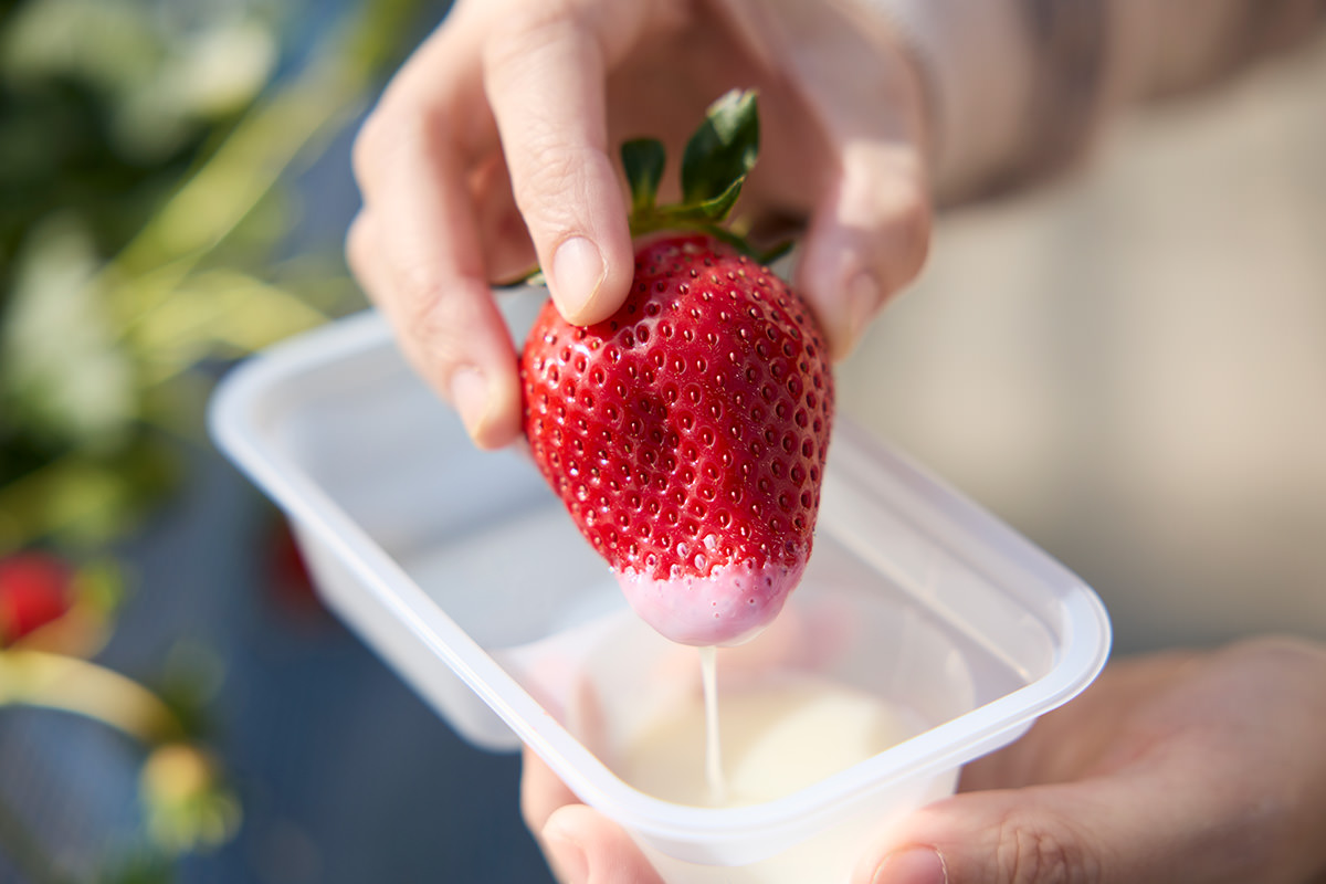 Minakami Fruits Land Mogitore