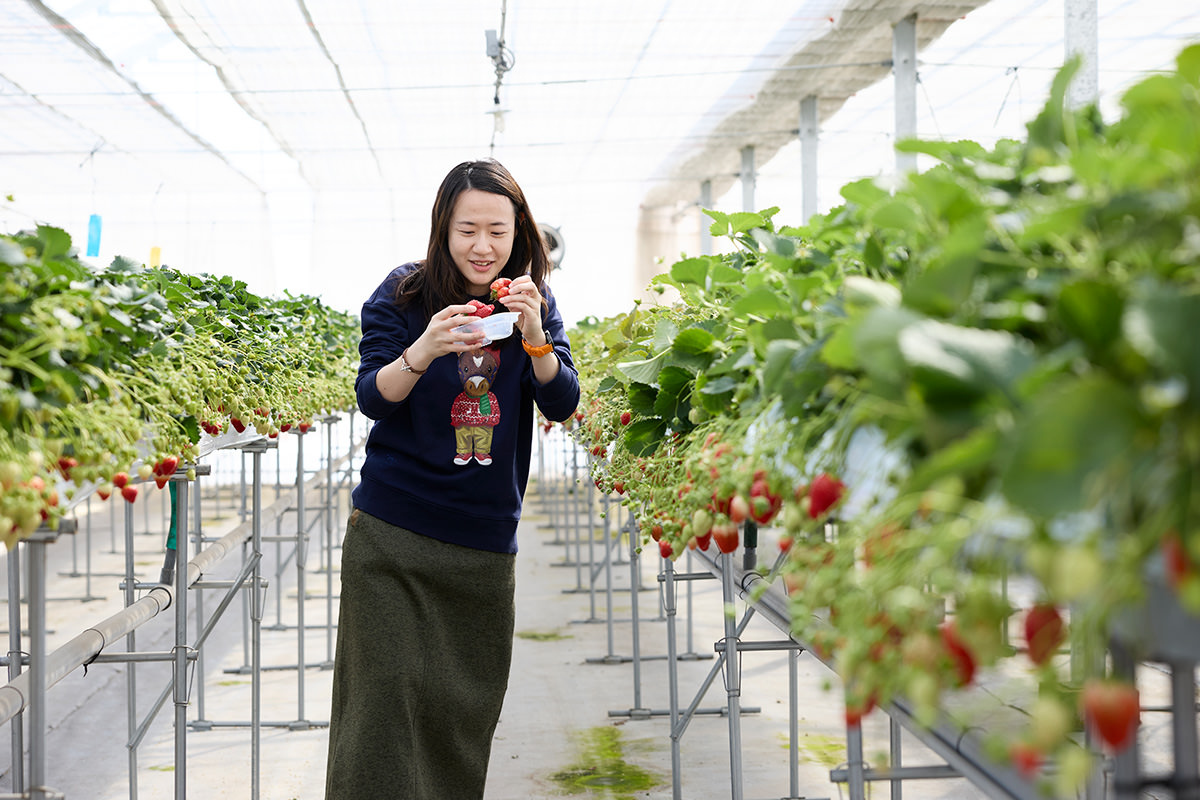 Takuminosato Strawberry House