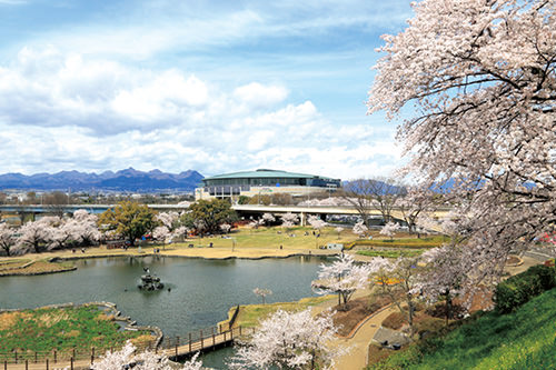 Gunma's Flower  