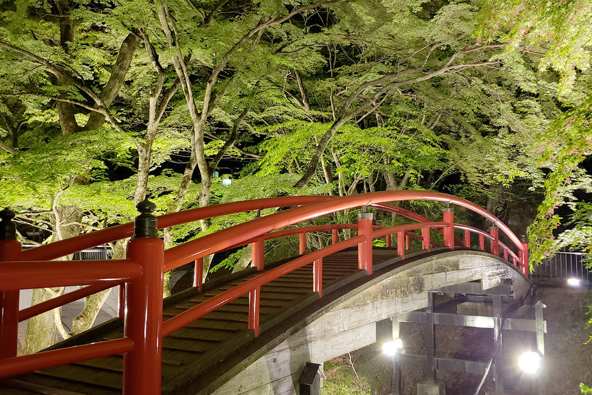 Kajika Bridge Spring Green Illumination