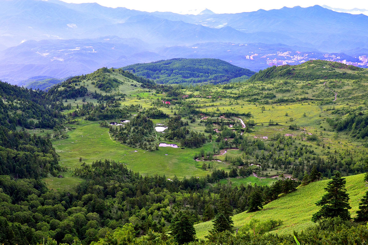 Yoshigadaira Wetlands