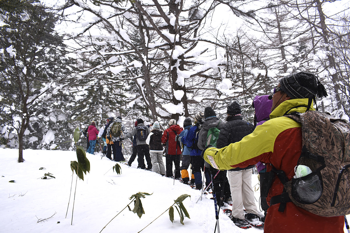 雪鞋健行（草津）