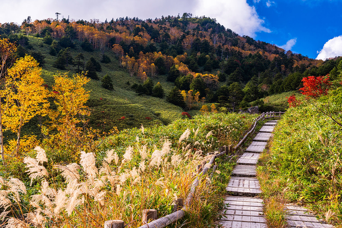 มันซะ ออนเซ็น