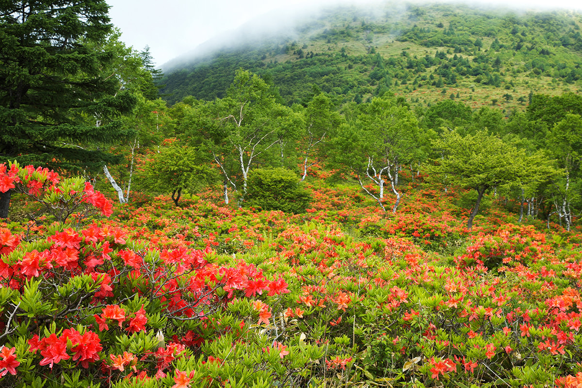 Yunomaru Plateau