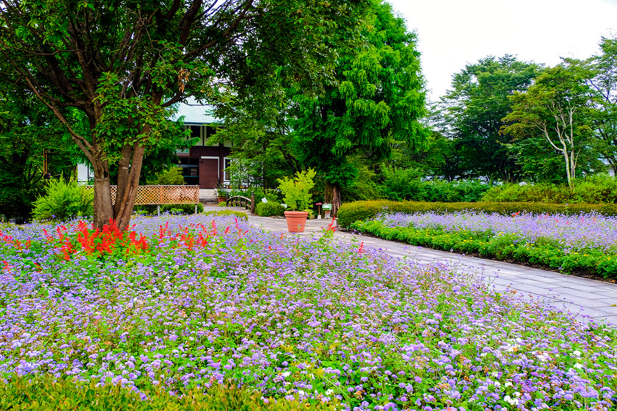 Nakanojo Gardens