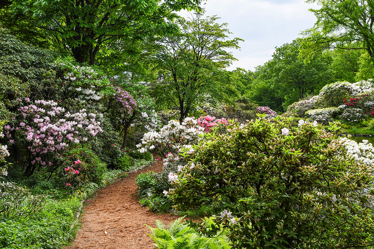 Akagi Nature Park