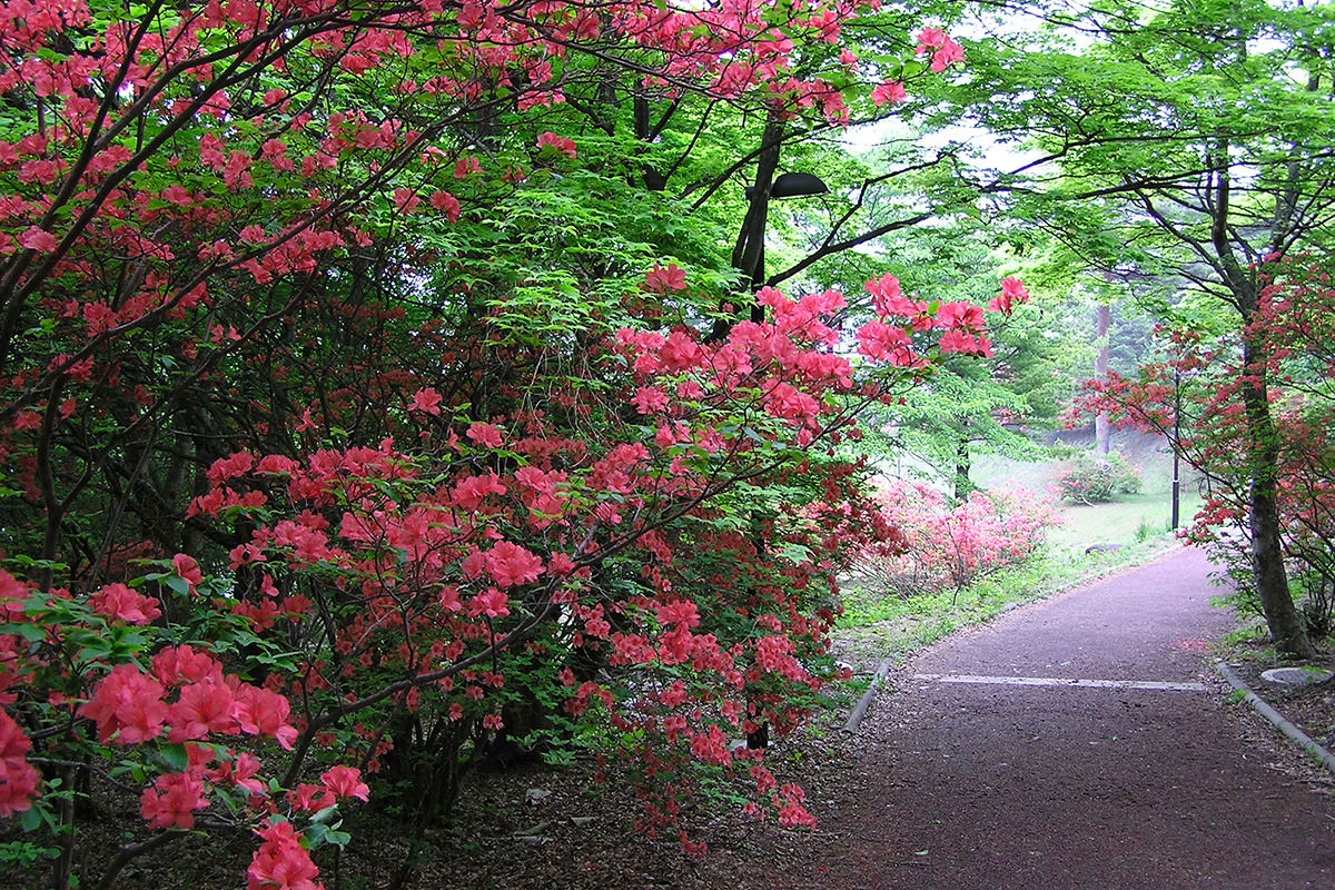 Uenoyama Park