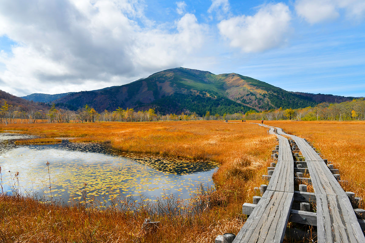 Oze National Park