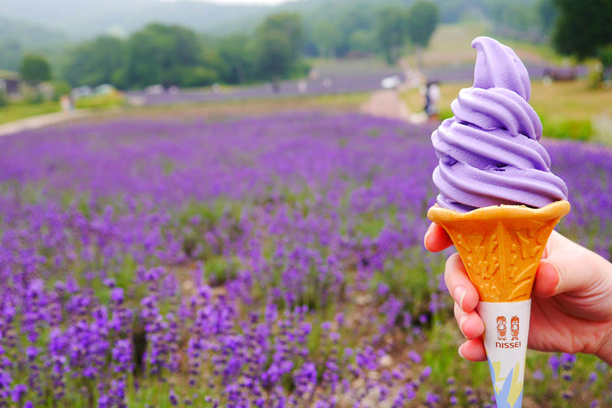Tambara Lavender Park