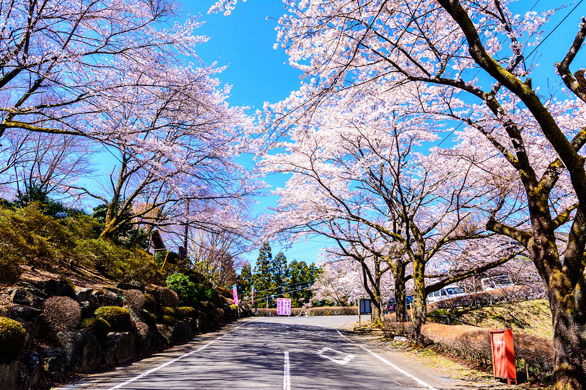 樱山公园