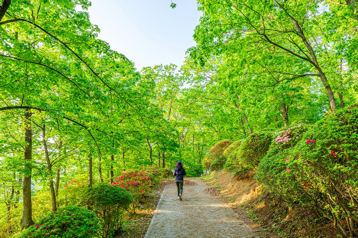 樱山公园