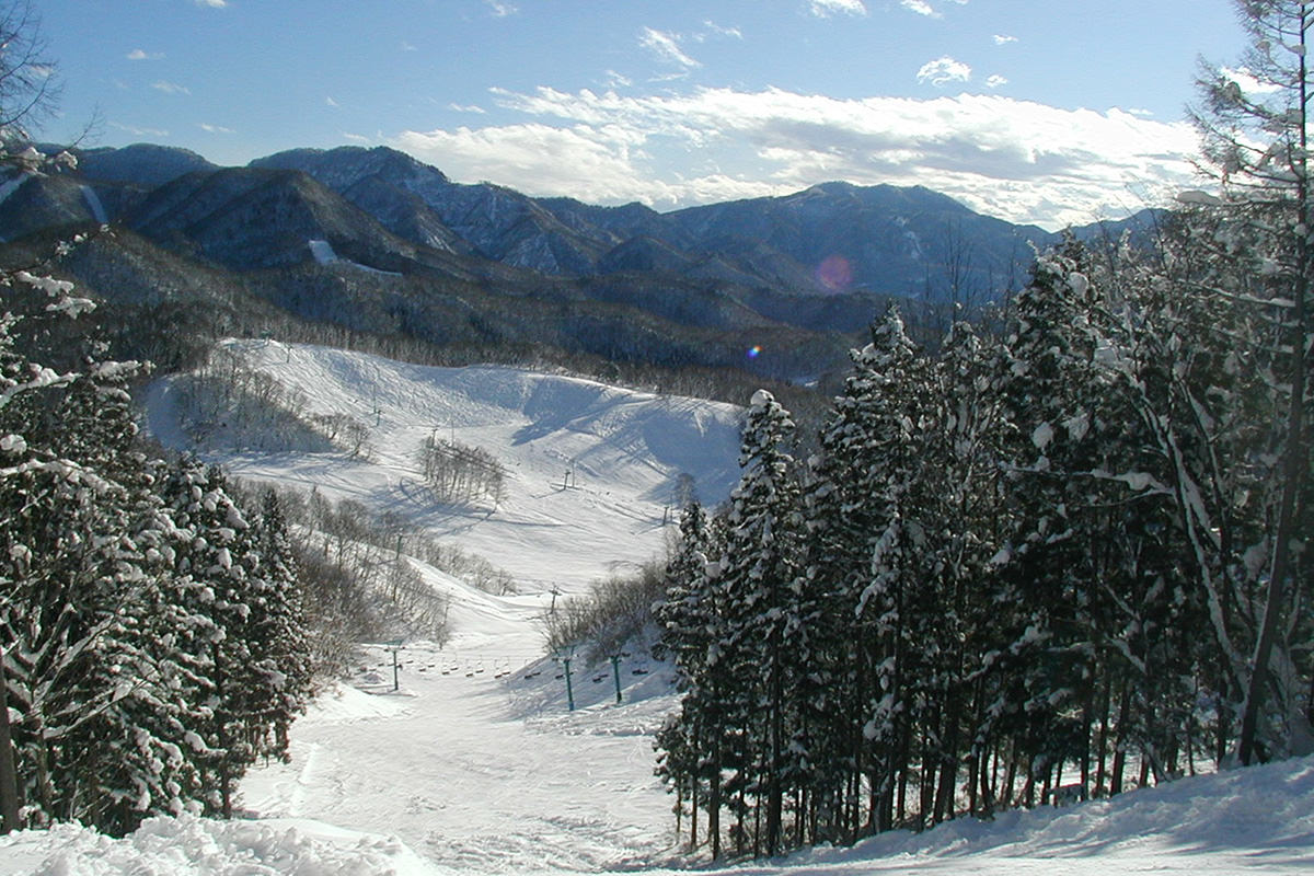 水上高原藤原滑雪场