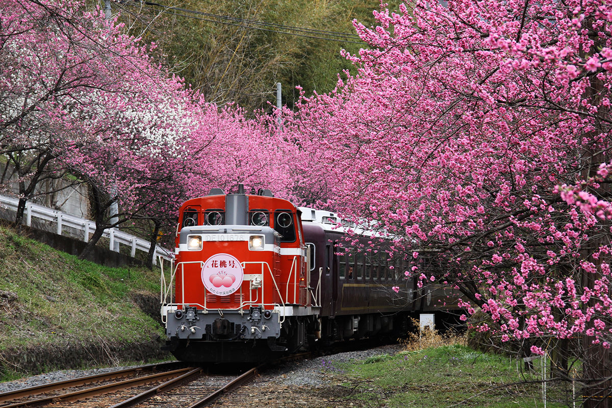 Watarase Keikoku Railway
