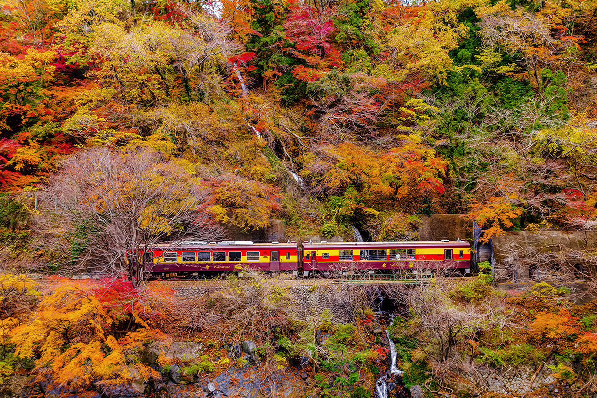 Watarase Keikoku Railway