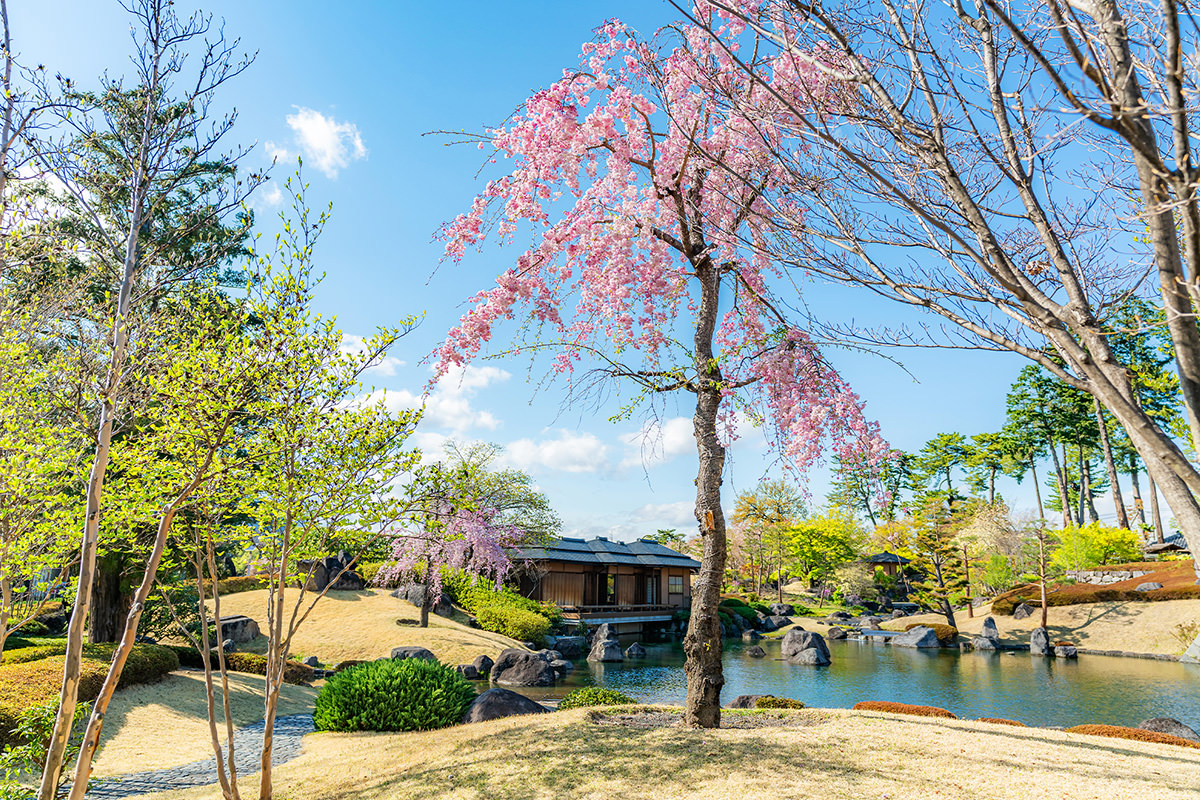 Rinkokaku