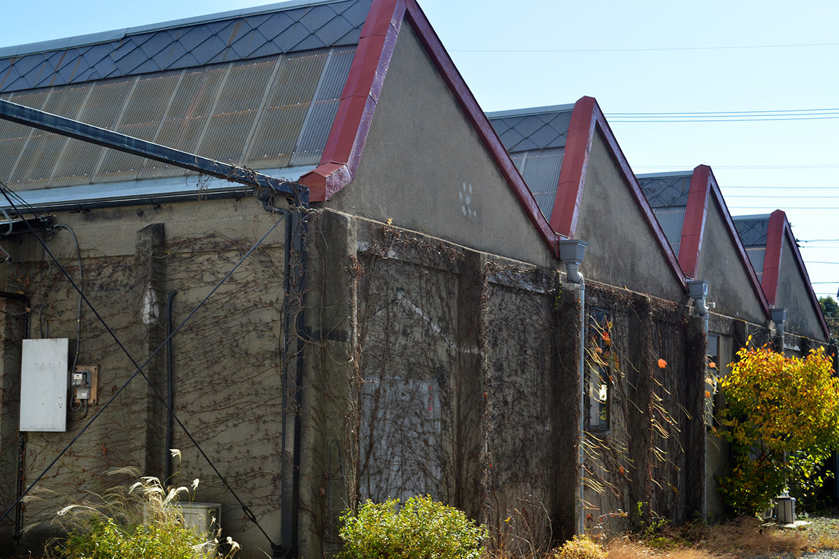 Saw-Toothed Roof Factories
