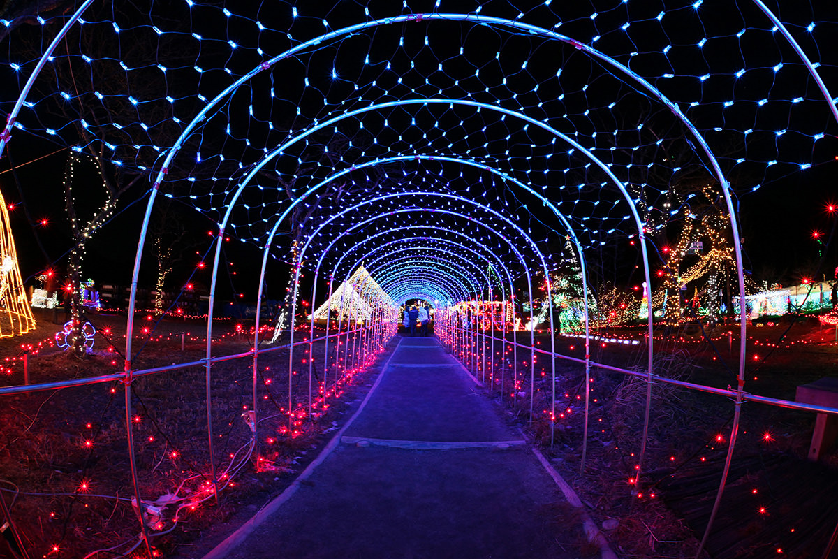 Lake Haruna Illumination Festa