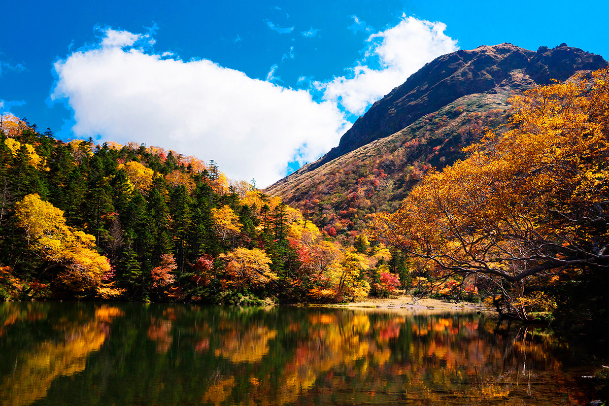 日光白根山紅葉