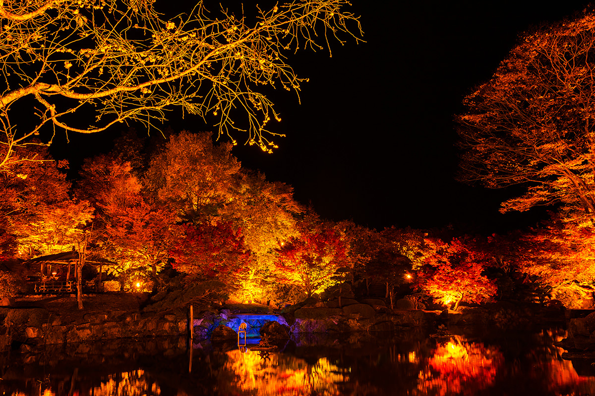 Sakurayama Park Autumn Leaves Illumination