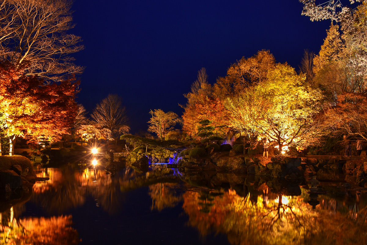Sakurayama Park Autumn Leaves Illumination