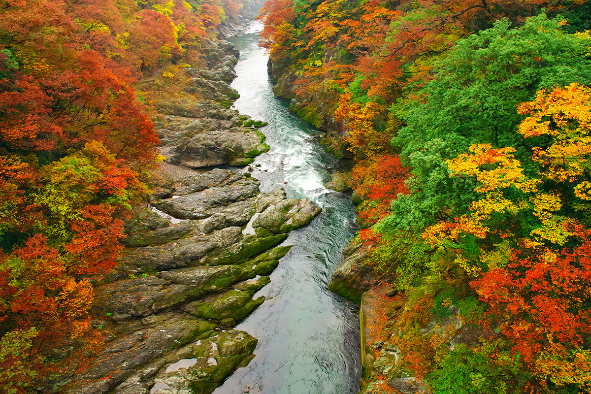 Autumn Leaves at Takatsudokyo Gorge