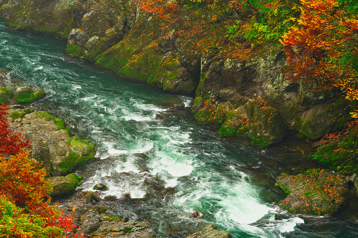 Autumn Leaves at Takatsudokyo Gorge
