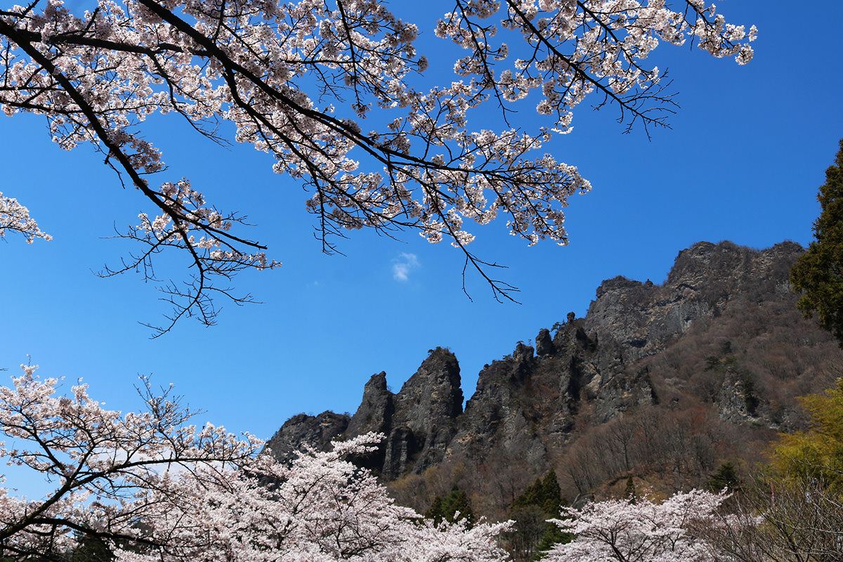 Sakura no Sato