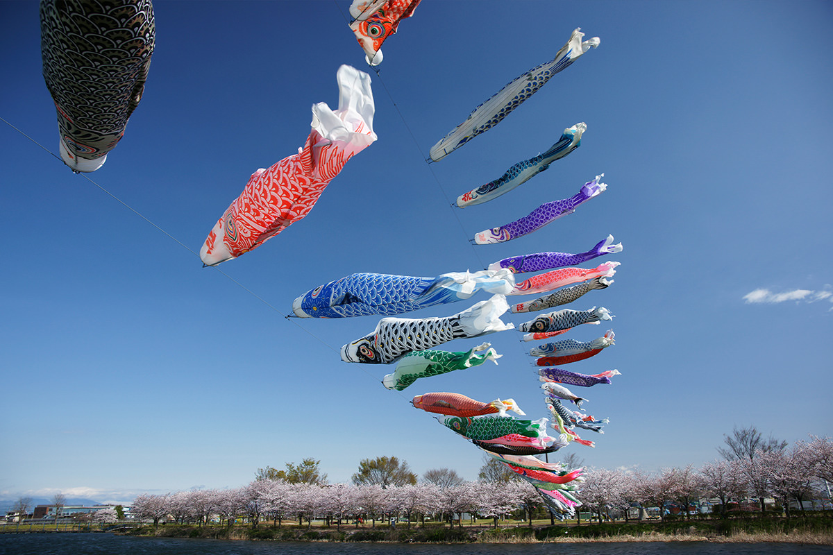 Tatebayashi Cherry Blossom Festival