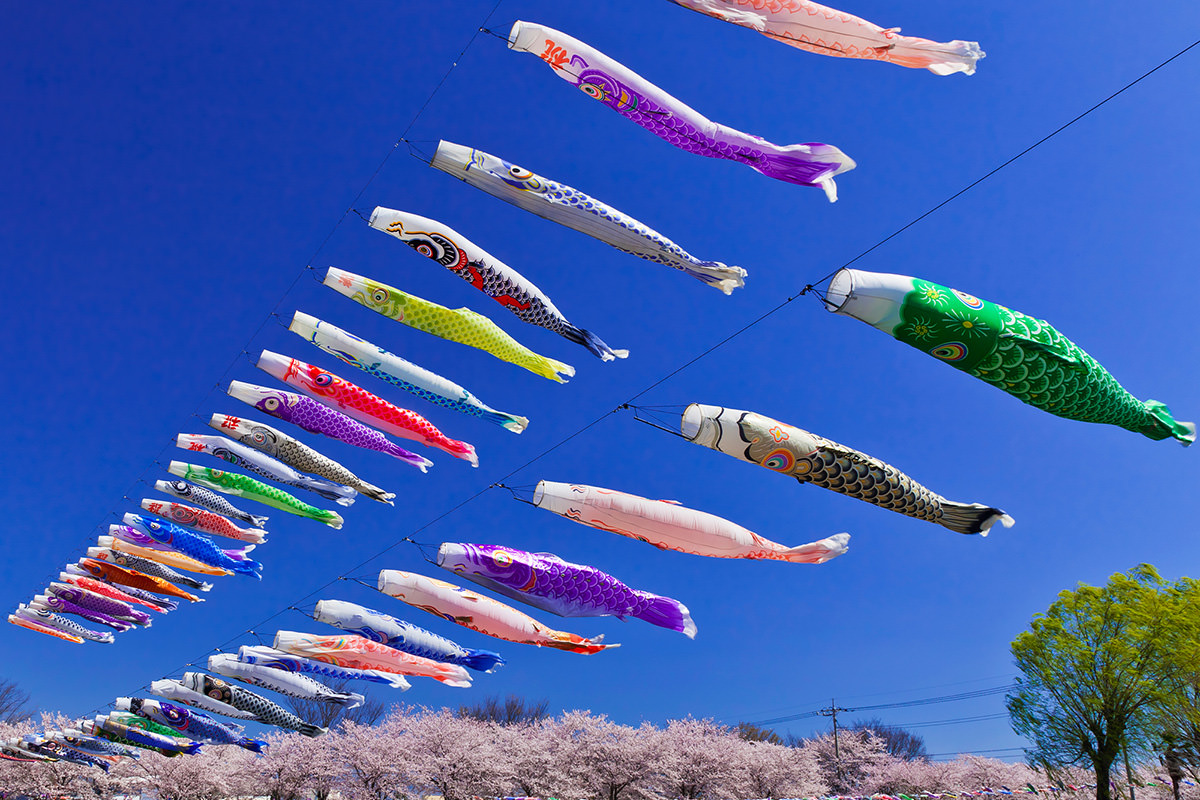 Tatebayashi Koinobori Carp Streamer Village Festival