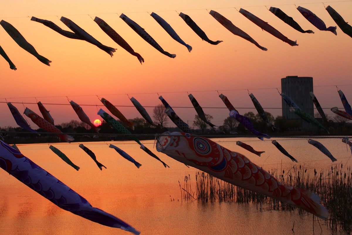 Tatebayashi Koinobori Carp Streamer Village Festival