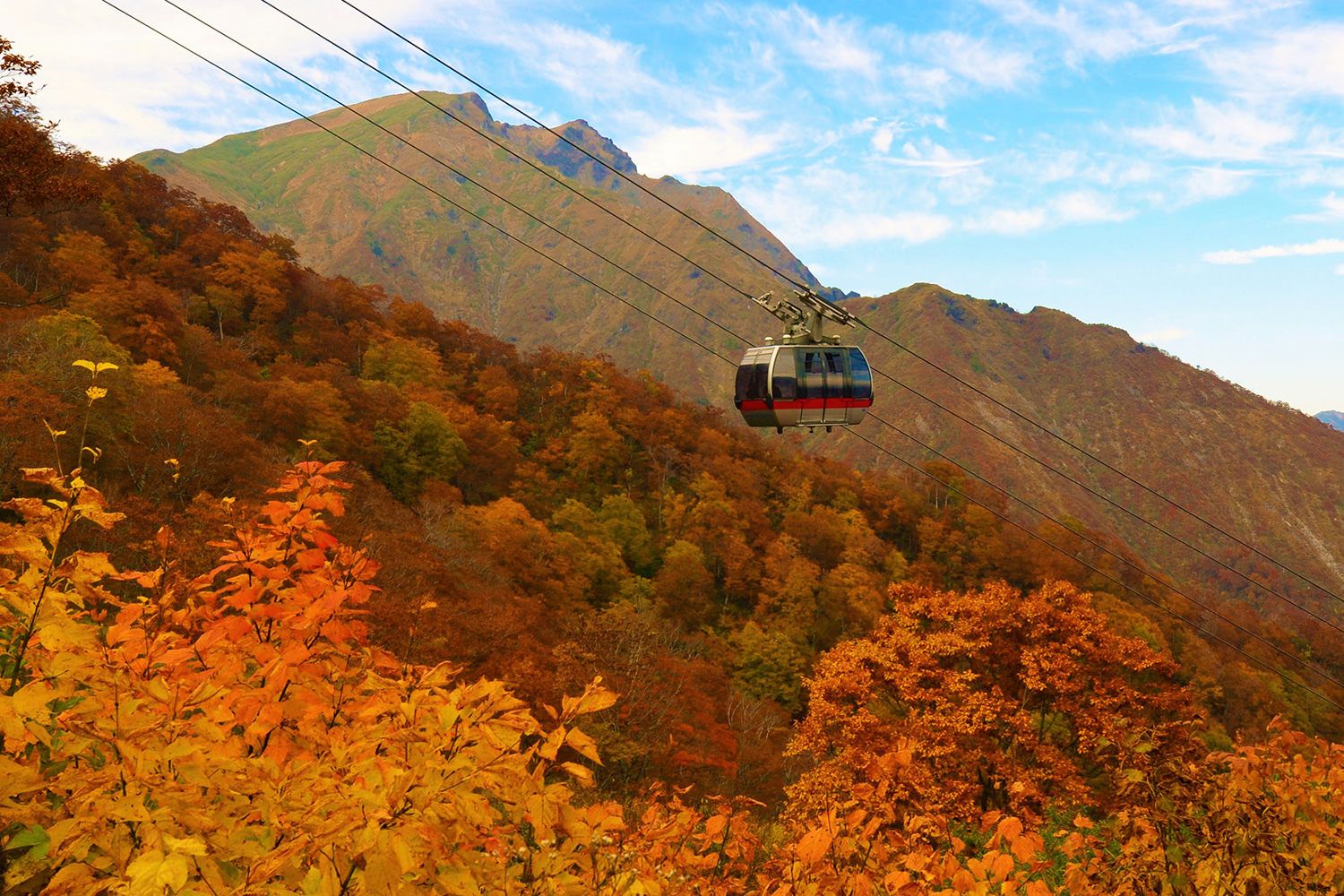 2026 Gunma Autumn Foliage Forecast & Viewing Guide
